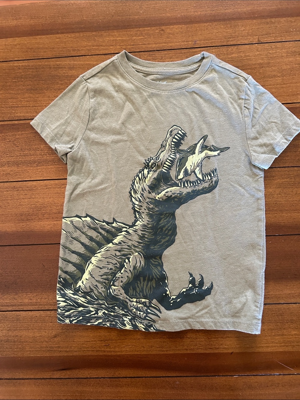 Cat & Jack Gray Short Sleeve Dino Graphic Tee
